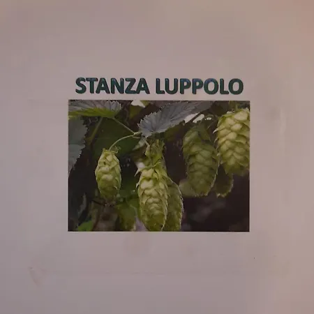 Corte Della Birra - Oldo