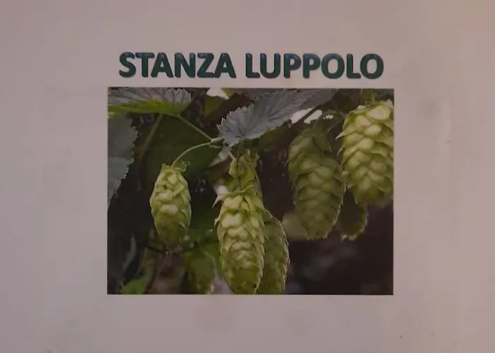 Corte Della Birra - Oldo